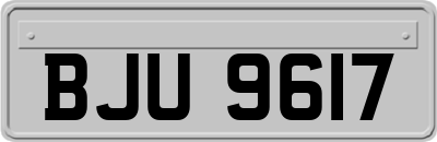 BJU9617