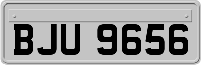 BJU9656