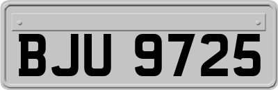 BJU9725