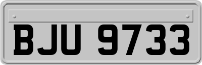 BJU9733