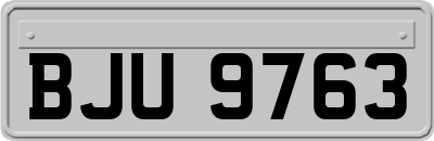BJU9763