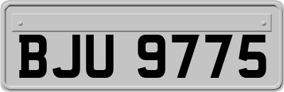 BJU9775