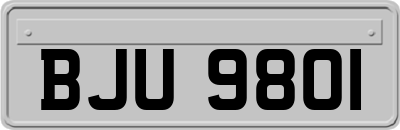 BJU9801