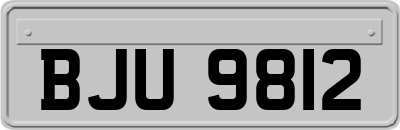 BJU9812