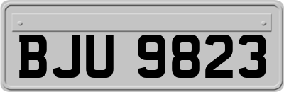 BJU9823