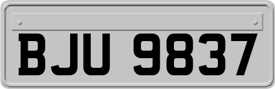 BJU9837