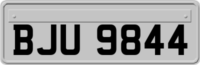 BJU9844