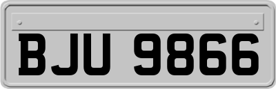 BJU9866