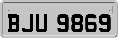 BJU9869
