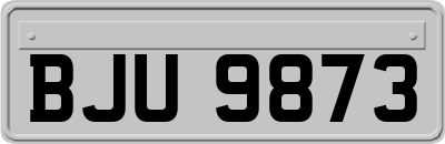 BJU9873
