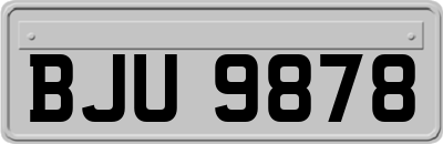 BJU9878
