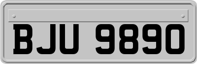 BJU9890