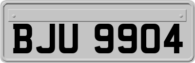 BJU9904