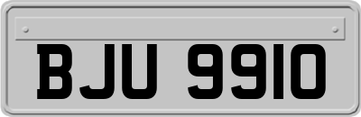 BJU9910