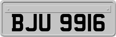 BJU9916