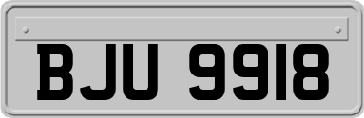 BJU9918