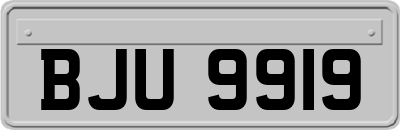BJU9919