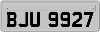 BJU9927