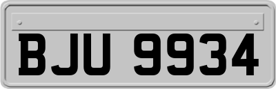 BJU9934