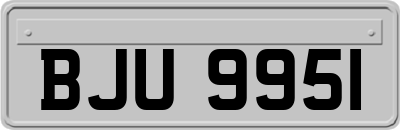 BJU9951