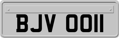 BJV0011