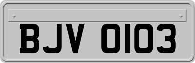 BJV0103