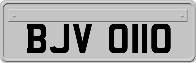 BJV0110