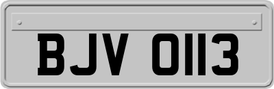 BJV0113