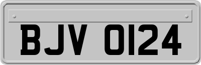BJV0124