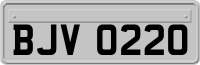 BJV0220