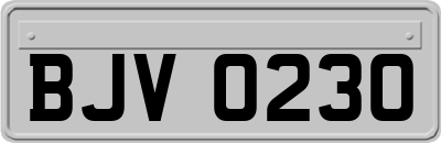 BJV0230