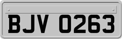 BJV0263