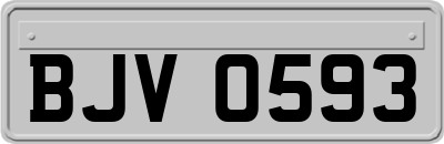 BJV0593