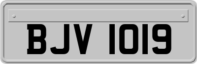 BJV1019