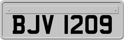 BJV1209