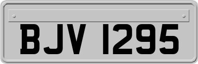 BJV1295