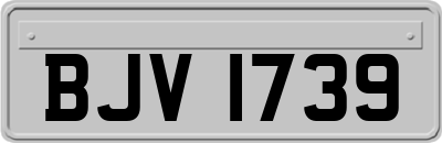 BJV1739