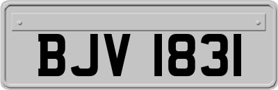 BJV1831