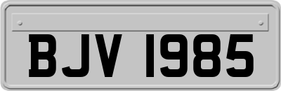 BJV1985
