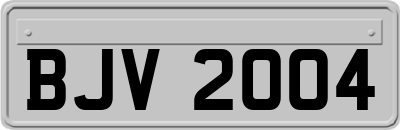BJV2004