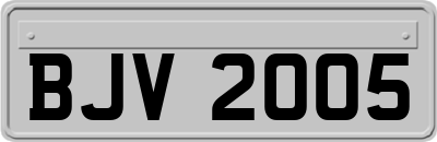BJV2005