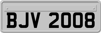 BJV2008