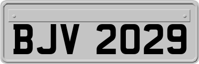 BJV2029