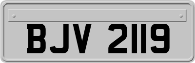 BJV2119