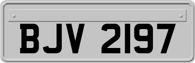 BJV2197
