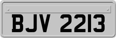 BJV2213