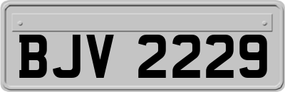 BJV2229