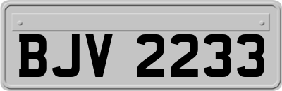 BJV2233