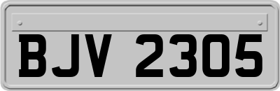 BJV2305