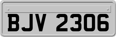 BJV2306